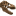 San Diego Natural History Museum favicon